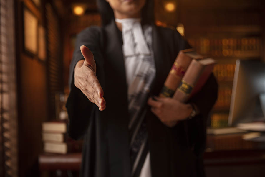 Support for Law Firms & In-House Counsel